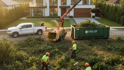 Professional shrub removal crew clearing overgrown bushes in San Antonio, TX yard